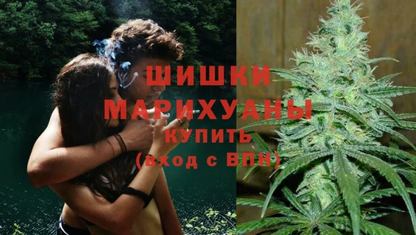 гидропоника Вязьма