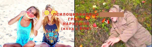 СК Вязники